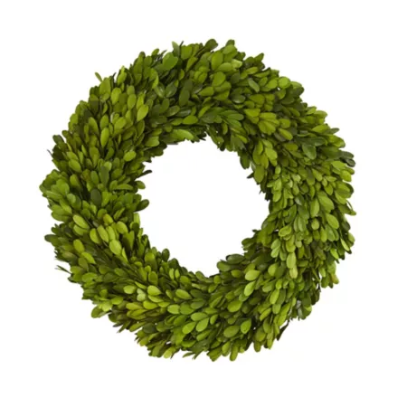 14" Almost Natural Preserved Boxwood Wreath Artificial Christmas Wreaths