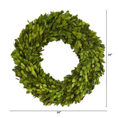 Image showing  14 in. Preserved Boxwood Wreath