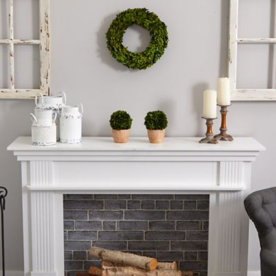 Image showing  14 in. Preserved Boxwood Wreath