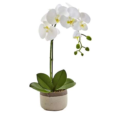 Nearly Natural 19 in. Faux Phalaenopsis Orchid Arrangement in Ceramic Pot
