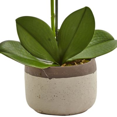 Image showing  19 in. Faux Phalaenopsis Orchid Arrangement in Ceramic Pot