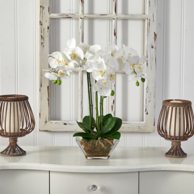 Image showing  22 in. Faux Triple Phalaenopsis Orchid Arrangement in Glass Vase