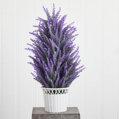 Image showing  22 in. Faux Lavender in White Wicker Planter