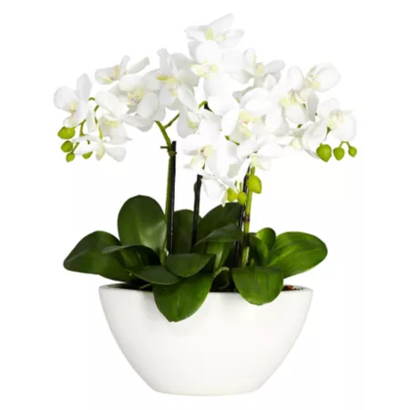 Almost Natural Faux Phalaenopsis Silk Flower Arrangement Artificial Plants & Flowers