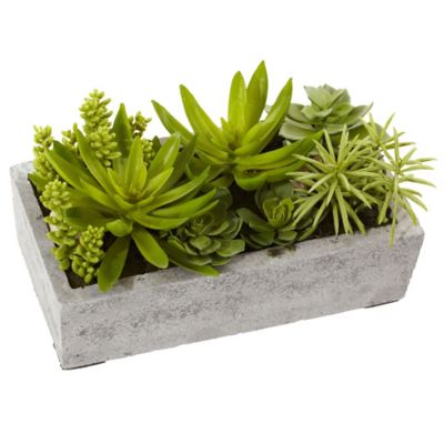 Nearly Natural 6.5 in. Faux Succulent Garden with Concrete Planter
