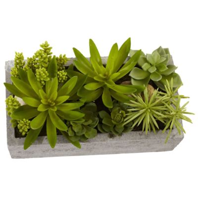 Image showing  6.5 in. Faux Succulent Garden with Concrete Planter
