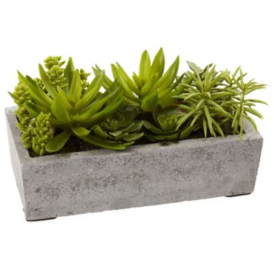 Image showing  6.5 in. Faux Succulent Garden with Concrete Planter