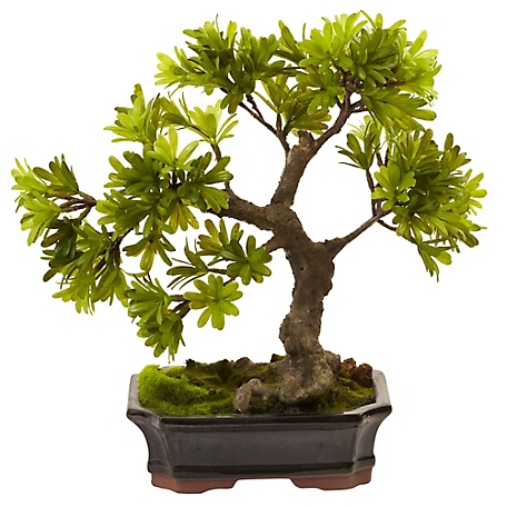 Nearly Natural 14 in. Artificial Bonsai Planter with Podocarpus and Moss
