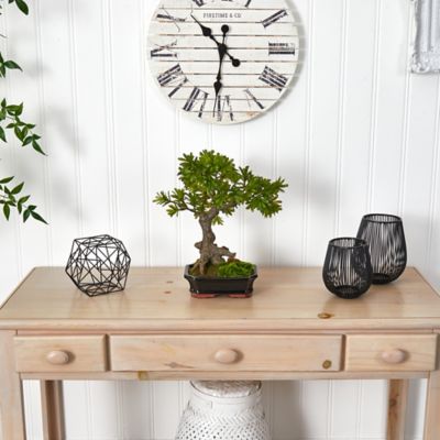 Image showing  14 in. Artificial Bonsai Planter with Podocarpus and Moss