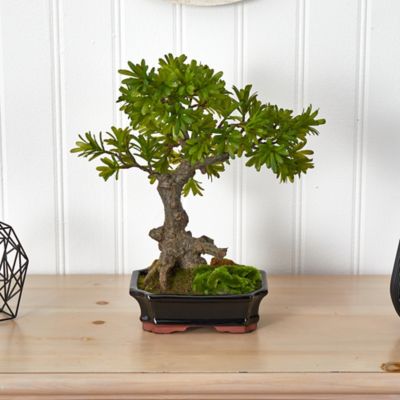 Image showing  14 in. Artificial Bonsai Planter with Podocarpus and Moss