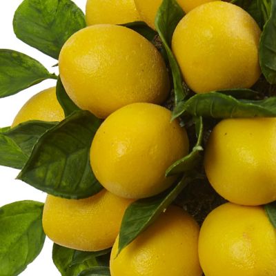 Image showing  18 in. Artificial Lemon Ball Arrangement