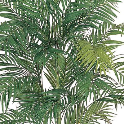 Image showing  7 ft. Areca Artificial Silk Palm Tree