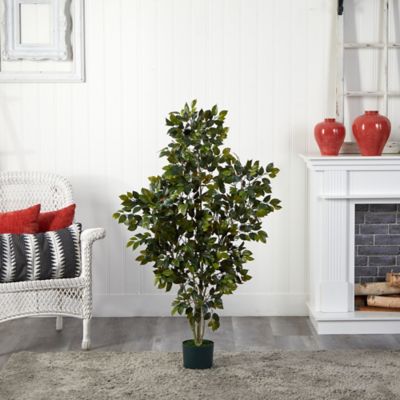 Image showing  4 ft. Ficus Silk Tree, 950 Leaves