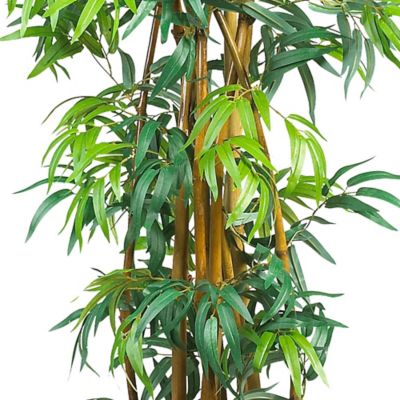 Image showing  6 ft. Curved Bamboo Silk Tree