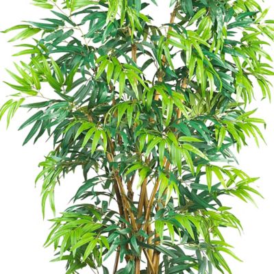 Image showing  6 ft. Curved Bamboo Silk Tree