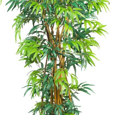 Image showing  6 ft. Curved Bamboo Silk Tree