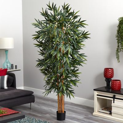 Image showing  6 ft. Big Bamboo Silk Tree