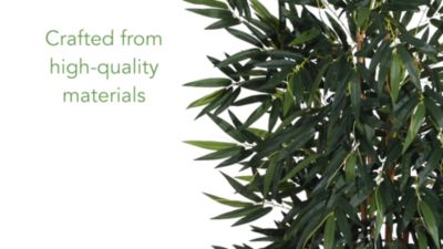 Image showing  6 ft. Big Bamboo Silk Tree