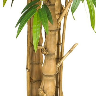 Image showing  6 ft. Belly Bamboo Silk Tree
