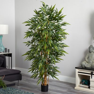 Image showing  6 ft. Belly Bamboo Silk Tree
