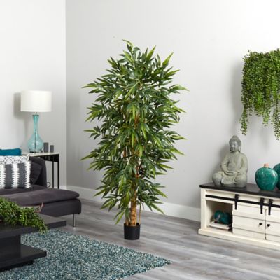 Image showing  6 ft. Belly Bamboo Silk Tree