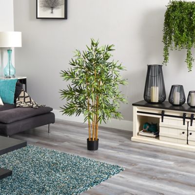 Image showing  4 ft. Multi Bambusa Bamboo Silk Tree