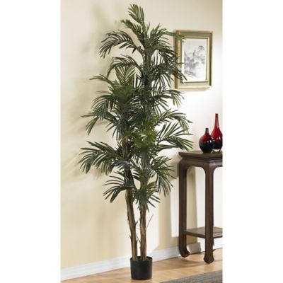 Image showing  6 ft. Robellini Artificial Palm Silk Tree