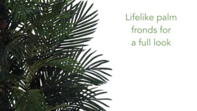 Image showing  6 ft. Robellini Artificial Palm Silk Tree