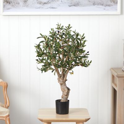 Image showing  2.5 ft. Silk Olive Tree