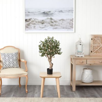 Image showing  2.5 ft. Silk Olive Tree