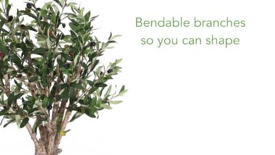 Image showing  2.5 ft. Silk Olive Tree