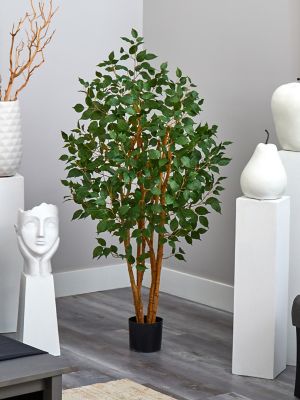 Image showing  5 ft. Ficus Bushy Silk Tree