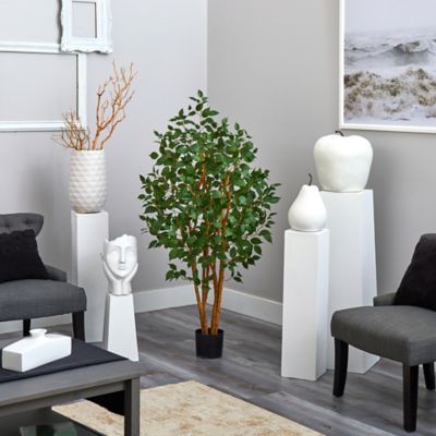 Image showing  5 ft. Ficus Bushy Silk Tree