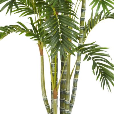 Image showing  6 ft. Areca Palm Silk Tree
