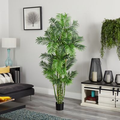 Image showing  6 ft. Areca Palm Silk Tree
