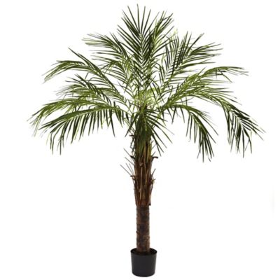 Nearly Natural 6 ft. Robellini Artificial Palm Tree
