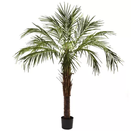 Nearly Natural 6 ft Artificial Robellini Palm Tree Artificial Plants & Flowers