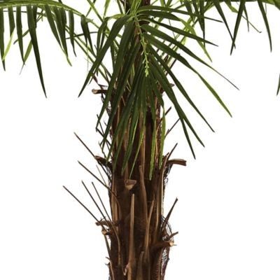 Image showing  6 ft. Robellini Artificial Palm Tree