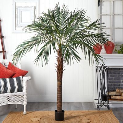 Image showing  6 ft. Robellini Artificial Palm Tree