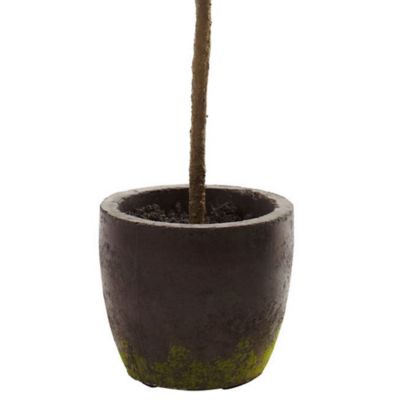 Image showing  29 in. Artificial Topiary in Decorative Planter