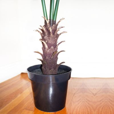 Image showing  7 ft. Indoor/Outdoor UV-Resistant Fan Artificial Palm Tree