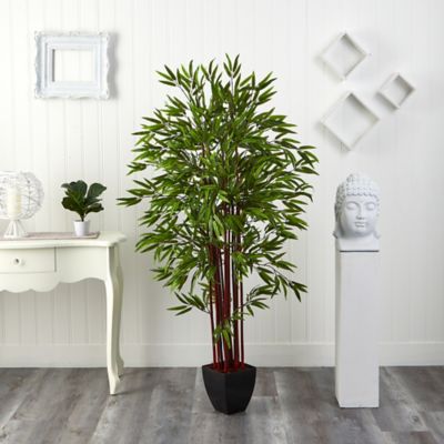 Image showing  6 ft. Bamboo Silk Tree in Planter