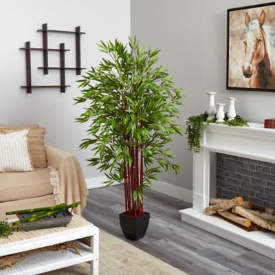 Image showing  6 ft. Bamboo Silk Tree in Planter