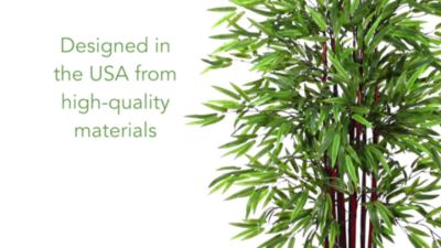 Image showing  6 ft. Bamboo Silk Tree in Planter