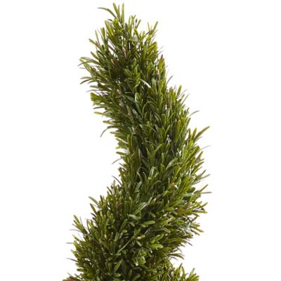 Image showing  6 ft. Indoor/Outdoor Rosemary Spiral Tree