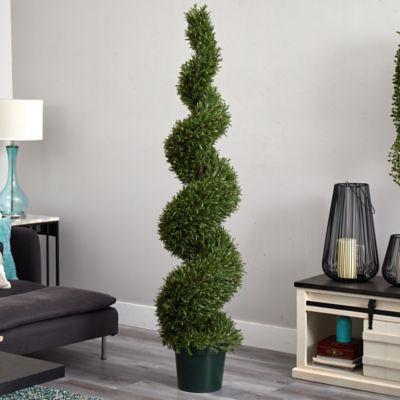 Image showing  6 ft. Indoor/Outdoor Rosemary Spiral Tree