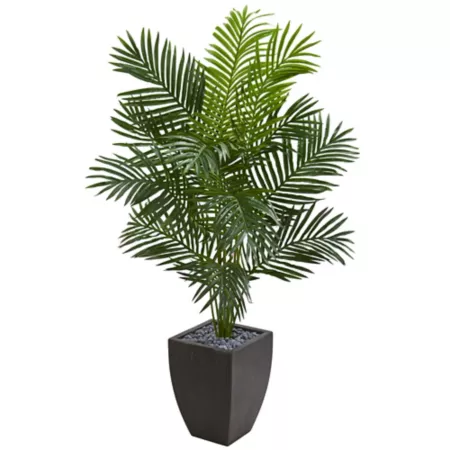 Nearly Natural 5.5 ft Artificial Paradise Palm Tree in Black Planter Artificial Plants & Flowers