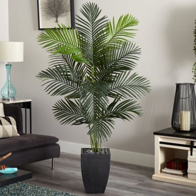 Image showing  5.5 ft. Paradise Artificial Palm Tree in Black Planter