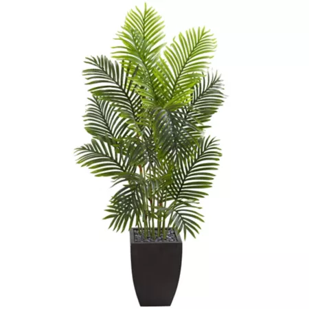 5.5 ft Almost Natural Artificial Paradise Palm Tree in Square Planter Artificial Plants & Flowers