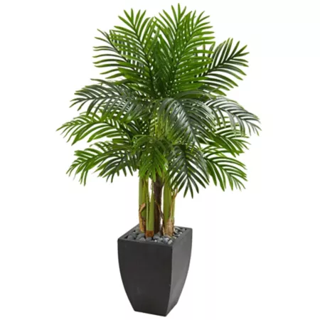 Nearly Natural 5 ft Artificial Kentia Palm Tree in Black Planter Artificial Plants & Flowers